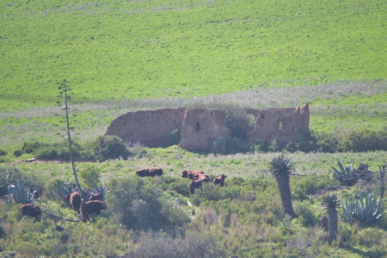 Old Sam'S Cottage Bredasdorp Luaran gambar